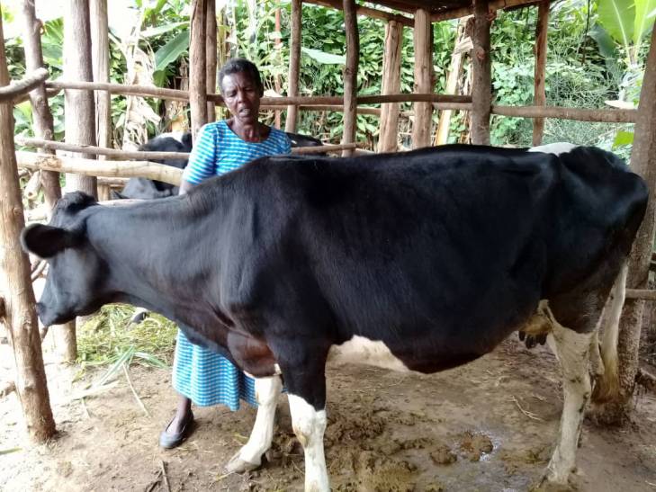 Odette et sa vache Odette et sa vache